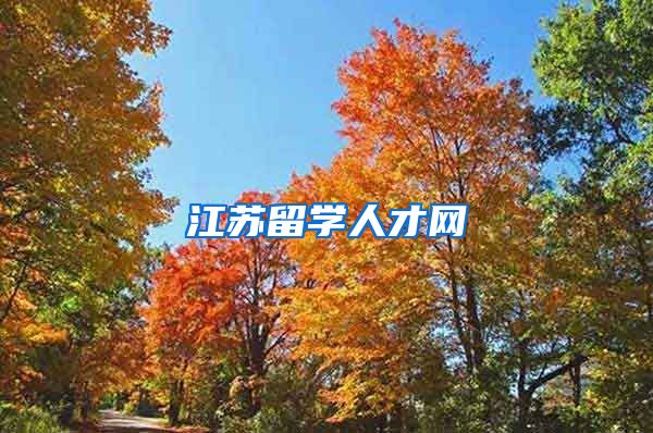 江苏留学人才网