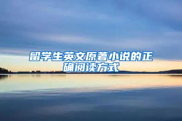 留学生英文原著小说的正确阅读方式