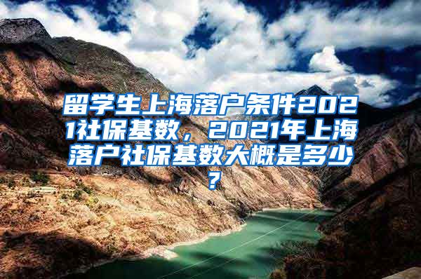 留学生上海落户条件2021社保基数，2021年上海落户社保基数大概是多少？