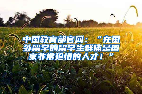 中国教育部官网：“在国外留学的留学生群体是国家非常珍惜的人才！”
