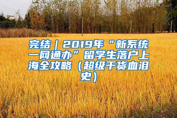 完结｜2019年“新系统一网通办”留学生落户上海全攻略（超级干货血泪史）