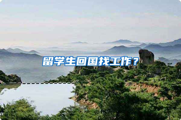 留学生回国找工作？
