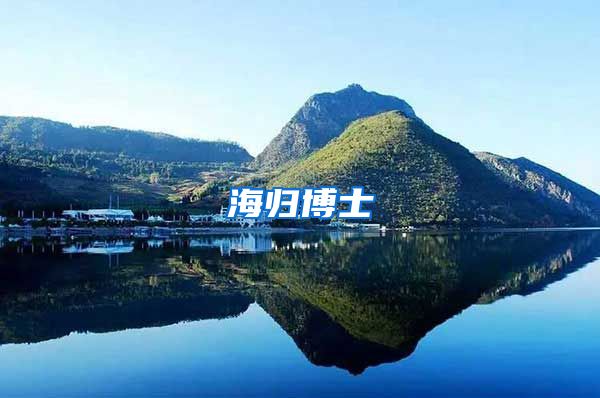 海归博士