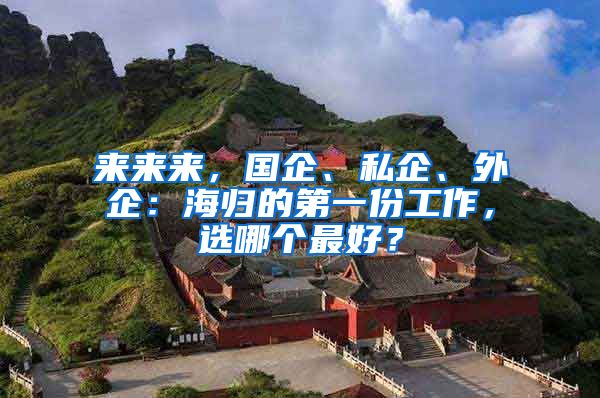 来来来，国企、私企、外企：海归的第一份工作，选哪个最好？
