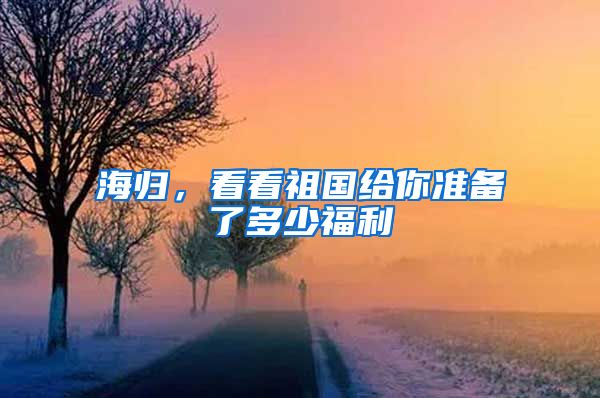 海归，看看祖国给你准备了多少福利