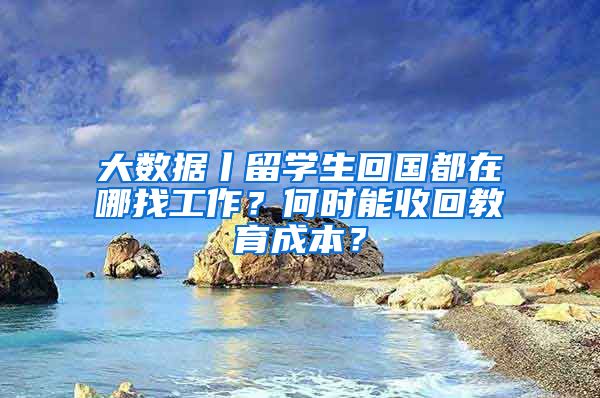 大数据丨留学生回国都在哪找工作？何时能收回教育成本？