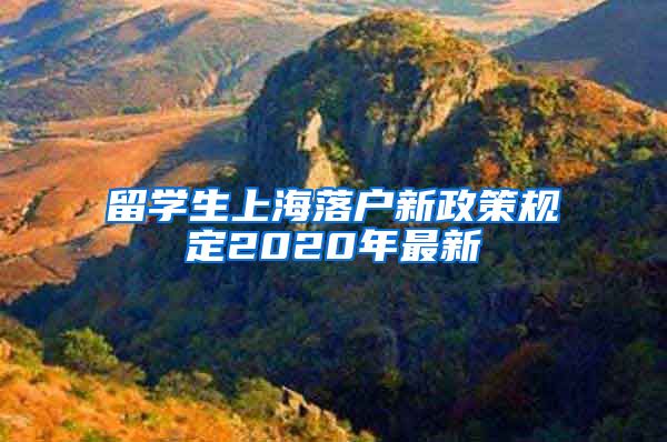 留学生上海落户新政策规定2020年最新