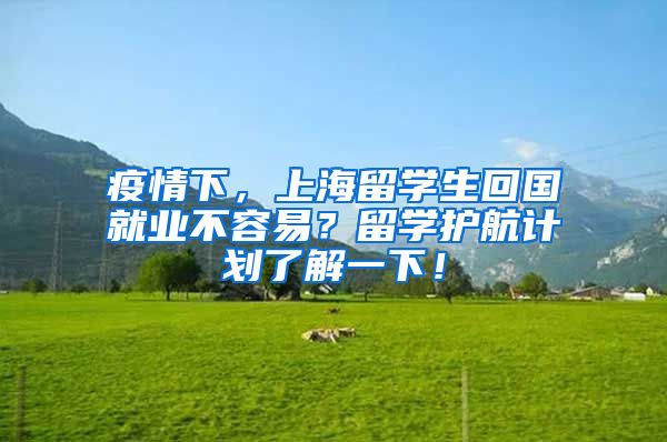 疫情下，上海留学生回国就业不容易？留学护航计划了解一下！