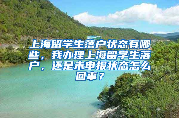上海留学生落户状态有哪些，我办理上海留学生落户，还是未申报状态怎么回事？