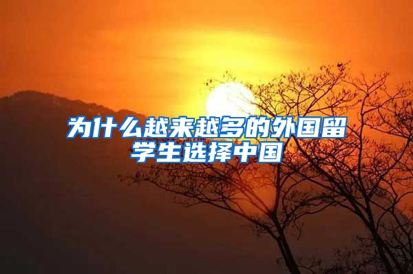 为什么越来越多的外国留学生选择中国