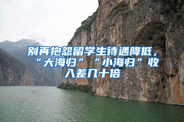 别再抱怨留学生待遇降低，“大海归”“小海归”收入差几十倍