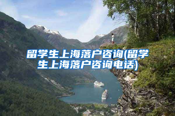 留学生上海落户咨询(留学生上海落户咨询电话)