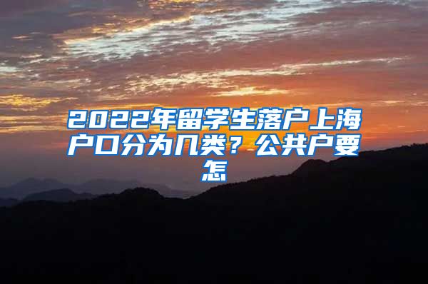 2022年留学生落户上海户口分为几类？公共户要怎