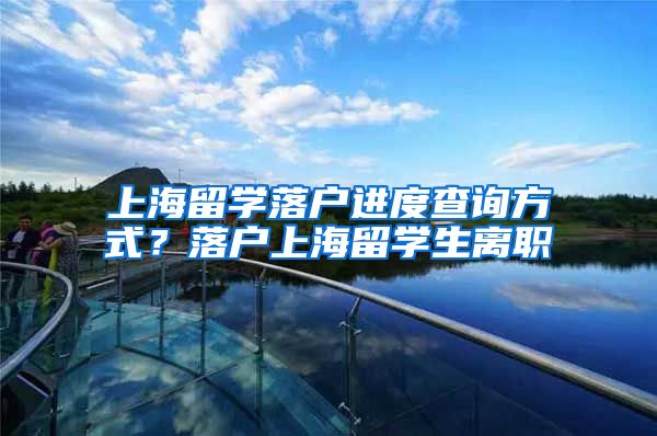 上海留学落户进度查询方式？落户上海留学生离职
