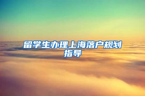 留学生办理上海落户规划指导