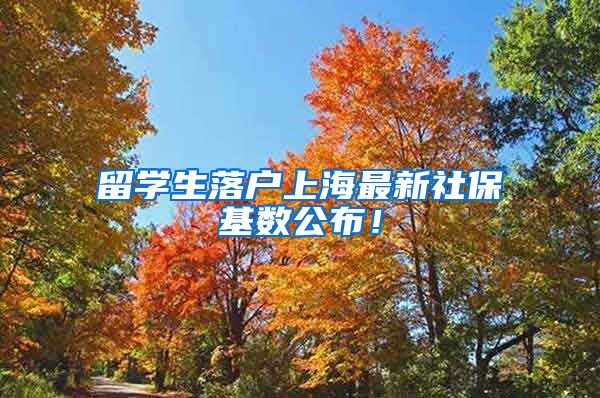 留学生落户上海最新社保基数公布！