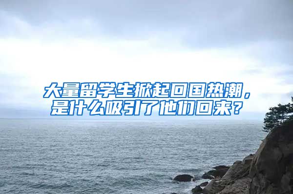 大量留学生掀起回国热潮，是什么吸引了他们回来？