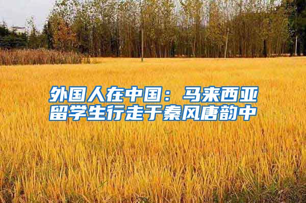 外国人在中国：马来西亚留学生行走于秦风唐韵中