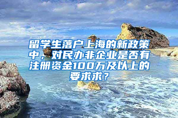 留学生落户上海的新政策中，对民办非企业是否有注册资金100万及以上的要求求？