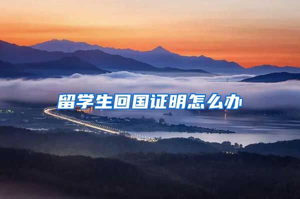 留学生回国证明怎么办