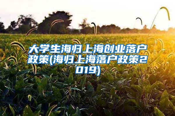 大学生海归上海创业落户政策(海归上海落户政策2019)