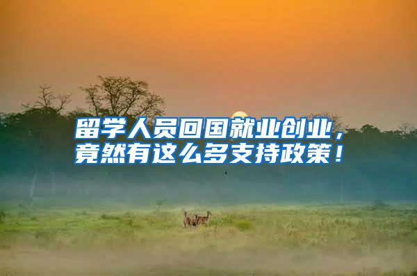 留学人员回国就业创业，竟然有这么多支持政策！