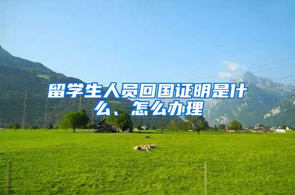 留学生人员回国证明是什么、怎么办理