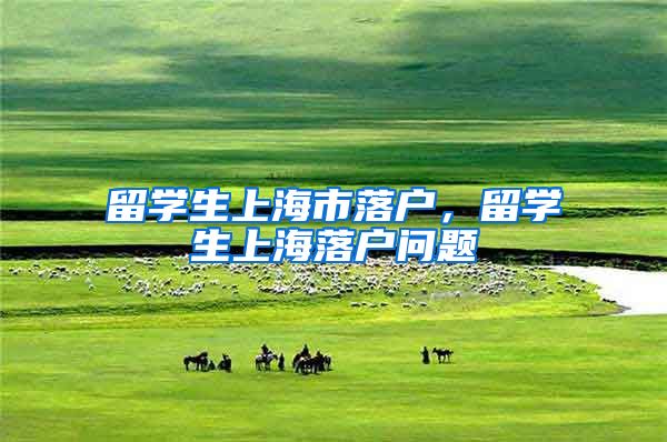留学生上海市落户，留学生上海落户问题
