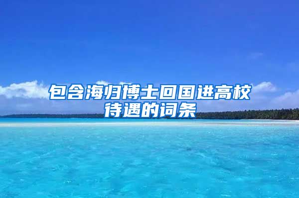 包含海归博士回国进高校待遇的词条