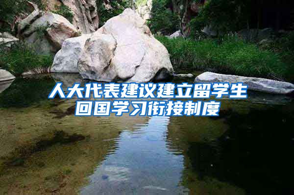 人大代表建议建立留学生回国学习衔接制度