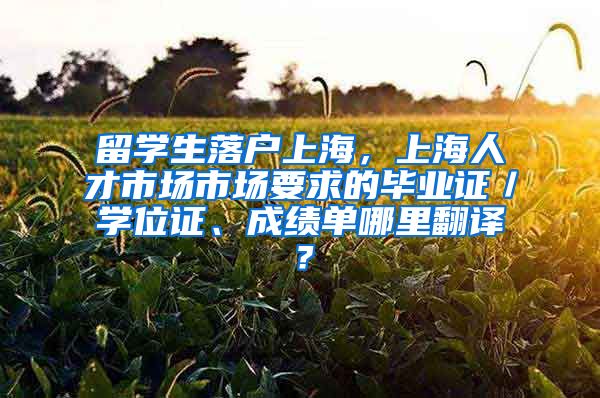 留学生落户上海，上海人才市场市场要求的毕业证／学位证、成绩单哪里翻译？