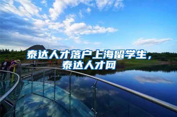 泰达人才落户上海留学生，泰达人才网