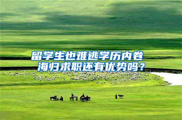 留学生也难逃学历内卷 海归求职还有优势吗？