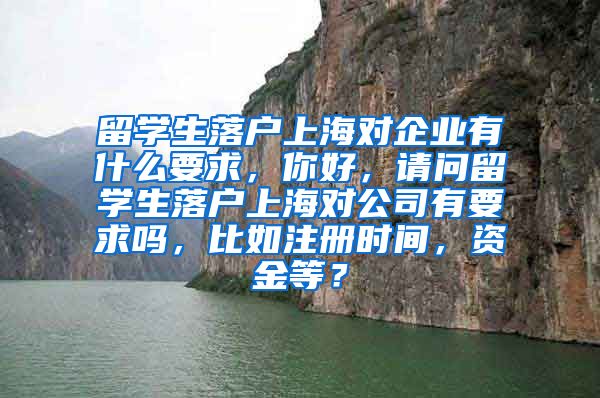 留学生落户上海对企业有什么要求，你好，请问留学生落户上海对公司有要求吗，比如注册时间，资金等？