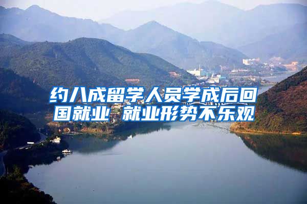 约八成留学人员学成后回国就业 就业形势不乐观