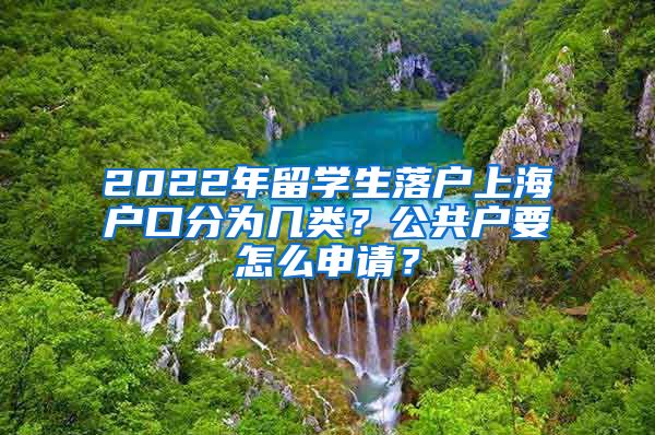 2022年留学生落户上海户口分为几类？公共户要怎么申请？