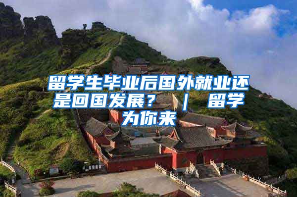 留学生毕业后国外就业还是回国发展？ ｜ 留学为你来