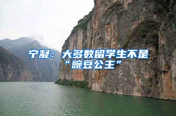 宁凝：大多数留学生不是“豌豆公主”