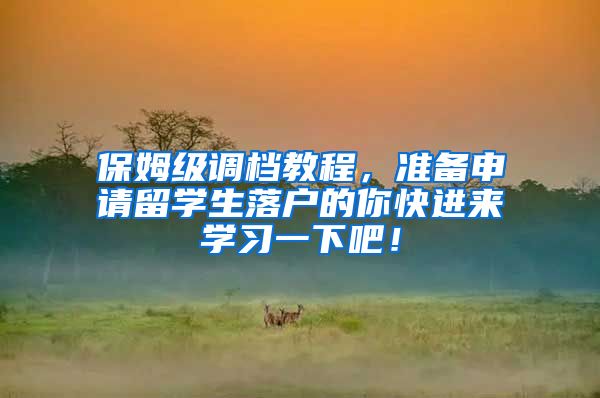 保姆级调档教程，准备申请留学生落户的你快进来学习一下吧！