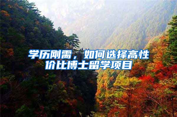 学历刚需，如何选择高性价比博士留学项目