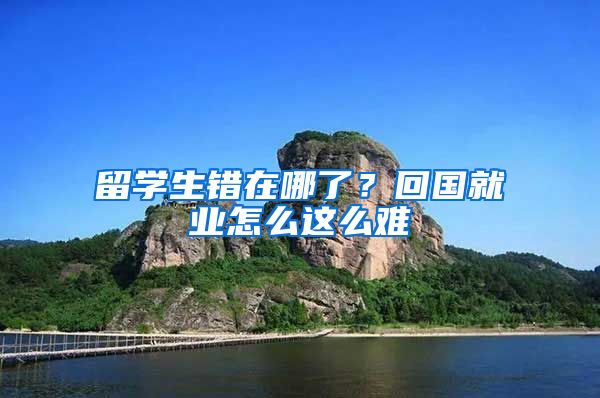 留学生错在哪了？回国就业怎么这么难