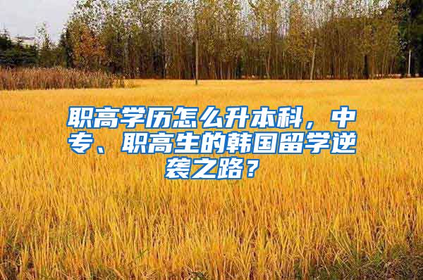 职高学历怎么升本科，中专、职高生的韩国留学逆袭之路？