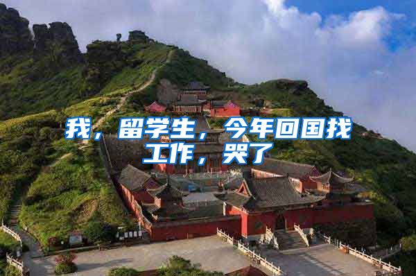 我，留学生，今年回国找工作，哭了