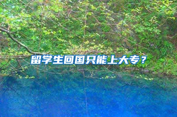 留学生回国只能上大专？