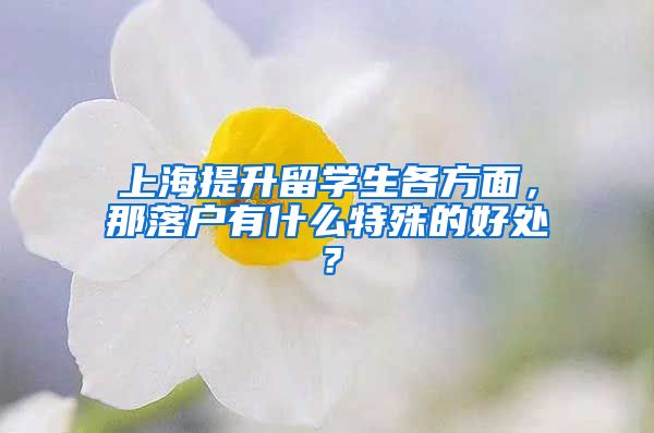 上海提升留学生各方面，那落户有什么特殊的好处？