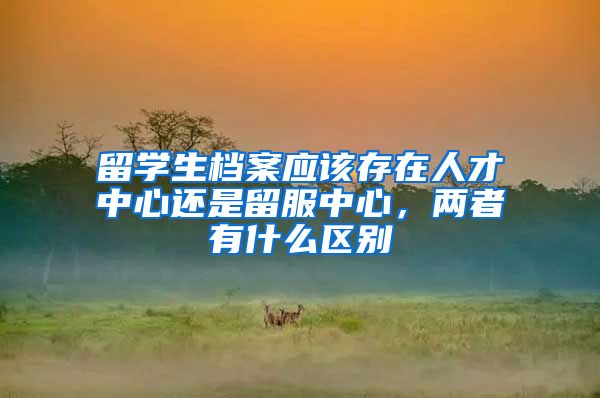 留学生档案应该存在人才中心还是留服中心，两者有什么区别