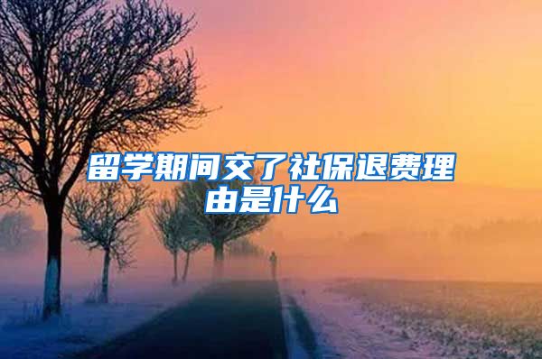留学期间交了社保退费理由是什么