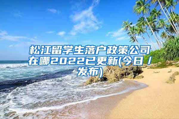 松江留学生落户政策公司在哪2022已更新(今日／发布)