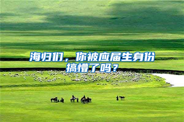 海归们，你被应届生身份搞懵了吗？