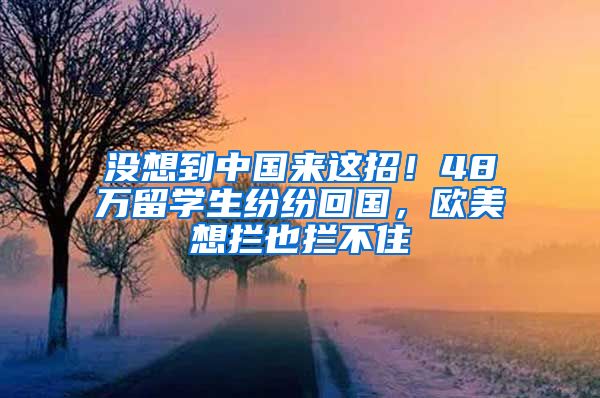 没想到中国来这招！48万留学生纷纷回国，欧美想拦也拦不住